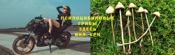 мескалин Балахна