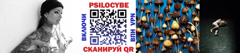 Псилоцибиновые грибы Psilocybe Великие Луки